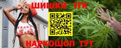 меф Гатчина