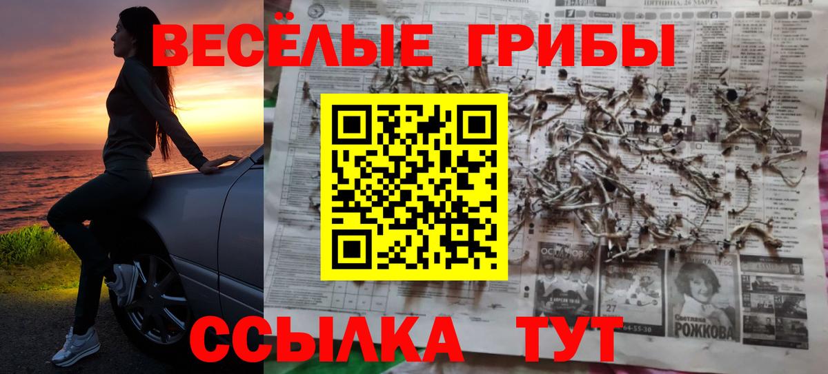 Сергиев Посад  Галлюциногенные грибы Magic Shrooms  Вход с VPN 